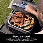 Ninja Woodfire 4-in-1 Outdoor Grill & Smoker
