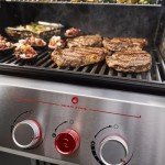Weber Genesis E-415 Natural Gas Grill, 4 Burners