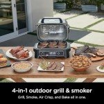 Ninja Woodfire ProXL 4-in-1 Outdoor Grill & Smoker