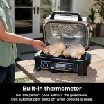 Ninja Woodfire ProXL 4-in-1 Outdoor Grill & Smoker