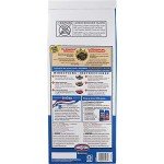 Kingsford Original Charcoal Briquettes - 2 Pack