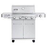 Monument 4-Burner Stainless Steel Propane Grill