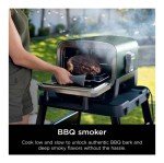 Ninja Woodfire 8-in-1 Smoker and Pizza Oven