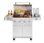 Monument 4-Burner Stainless Steel Propane Grill