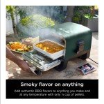Ninja Woodfire 8-in-1 Smoker and Pizza Oven