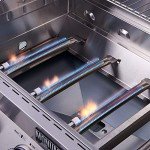 Monument 4-Burner Stainless Steel Propane Grill