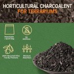 ZFYOUNG 4QT Charcoal Grill for Outdoor Cooking