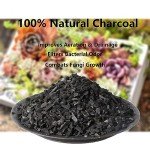 ZFYOUNG 4QT Charcoal Grill for Outdoor Cooking
