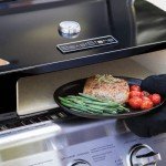 Portable Propane Gas Pizza Oven for Grills