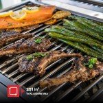 Nexgrill Portable 2-Burner Gas Grill - 20,000 BTUs