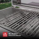 Nexgrill Portable 2-Burner Gas Grill - 20,000 BTUs