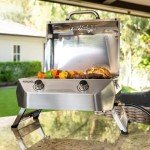 Nexgrill Portable 2-Burner Gas Grill - 20,000 BTUs