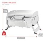 Nexgrill Portable 2-Burner Gas Grill - 20,000 BTUs