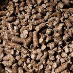 Bear Mountain Hardwood Smoky Gourmet BBQ Pellets 40lb