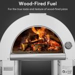 Empava Outdoor Wood Fired Pizza Oven with Wheels