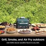 Ninja Woodfire Outdoor Grill and Smoker, Green