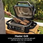 Ninja Woodfire Outdoor Grill and Smoker, Green