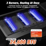 WARMOUNTS 3-Burner Portable Propane Gas Grill