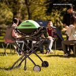 Weber Q1200 Portable Gas Grill for Travel, Green