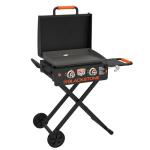 Blackstone 22" Portable Two-Burner Gas Griddle