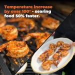 FlavrQ Starter Kit: Convert Gas Grill to Charcoal