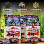 FlavrQ Starter Kit: Convert Gas Grill to Charcoal