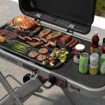 Feasto Portable Propane Grill with Folding Cart