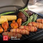 Nexgrill 2-Burner Portable Gas Grill and Griddle