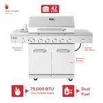 Nexgrill 6-Burner Propane Gas Grill with Searing Burner