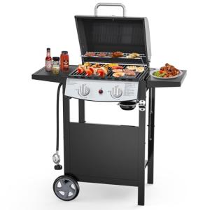 Electactic 2-Burner Portable Propane BBQ Grill