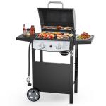 Electactic 2-Burner Portable Propane BBQ Grill