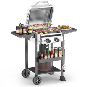 Stainless Steel 2-Burner Gas Grill with Side Shelves