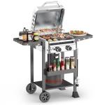 Stainless Steel 2-Burner Gas Grill with Side Shelves