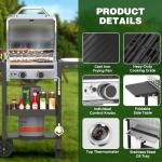 Stainless Steel 2-Burner Gas Grill with Side Shelves