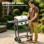 Stainless Steel 2-Burner Gas Grill with Side Shelves