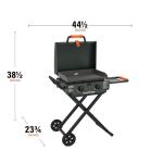 Blackstone 22" Omnivore Flexfold Griddle, Alpine Green