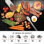 Blackstone 22" Omnivore Flexfold Griddle, Alpine Green