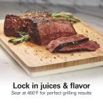 Electric Searing Grill with Viewing Window, Adjustable Temperature