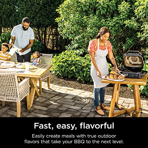 Ninja Outdoor Woodfire Grill & Smoker