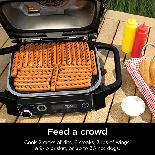 Ninja Outdoor Woodfire Grill & Smoker
