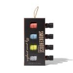 Gourmet BBQ Sauce Sampler Set - Pack of 4