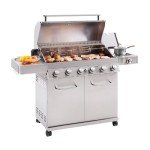 Monument 6-Burner Stainless Steel Propane Gas Grill