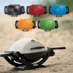 Weber Q1200 Portable Black Liquid Propane Grill