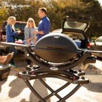 Weber Q1200 Portable Black Liquid Propane Grill