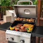 Megamaster 2-Burner Propane Grill with Side Tables