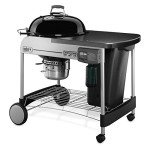 Weber Performer Deluxe 22-Inch Charcoal Grill
