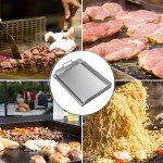 Skyflame Stainless Steel Griddle for BBQ Grills
