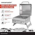 Megamaster 2-Burner Stainless Steel BBQ Grill