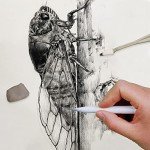 HIFORNY 38 PCS Sketch Drawing Tools - Blending Stumps and Tortillions Set Blending Tools with Art Sketch Wipe Scrapers,Rub Sponge,Kneaded Eraser and Sandpaper Sharpeners