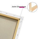 PHOENIX Stretched Canvas for Painting 12x16 Inch/6 Value Pack, 8 Oz Triple Primed 5/8 Inch Profile 100% Cotton White Blank Canvas, Artist Framed Canvas for Oil Acrylic & Pouring Art